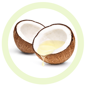 Coconut oil WHAT IS COCONUT OIL? Coconut oil which is also known as coconut butter, is the rich, fatty oil obtained from the dried coconut meat - known as copra - of coconuts, the fruit of the coconut palm tree (Cocos nucifera).