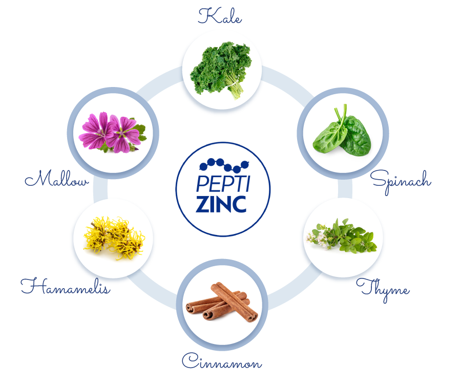 An image of Kale, mallow, spinach, hamamelis, cinnamon and thyme, all of which contain peptizinc.